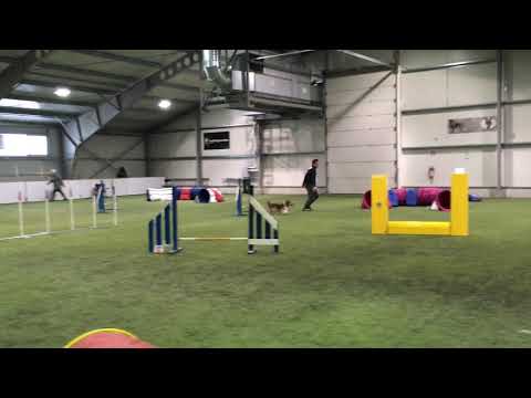 Cooper 20180120 CityB Ajum