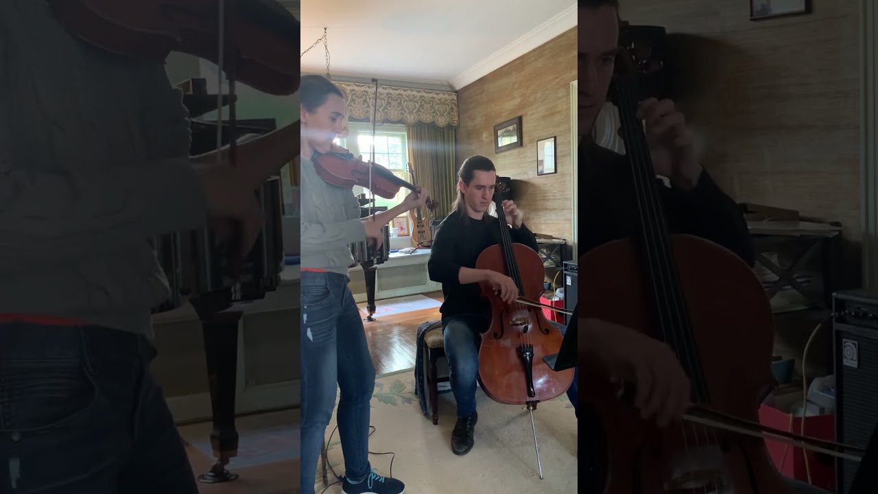 Promotional video thumbnail 2 for Strolling strings