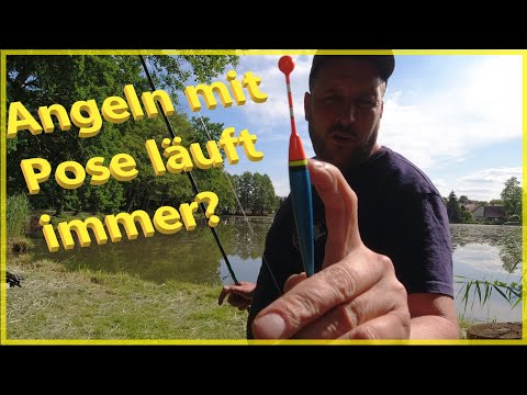 Float fishing for carp, eel and tench #floatfishing