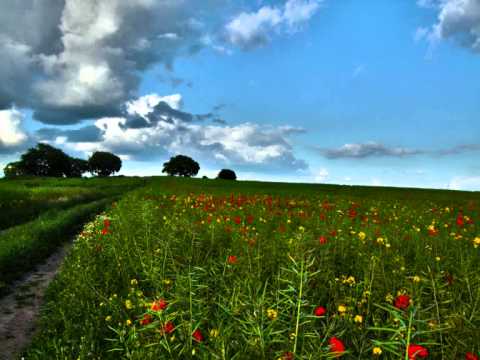 Timur Shafiev - Can't Stop (Original Mix)