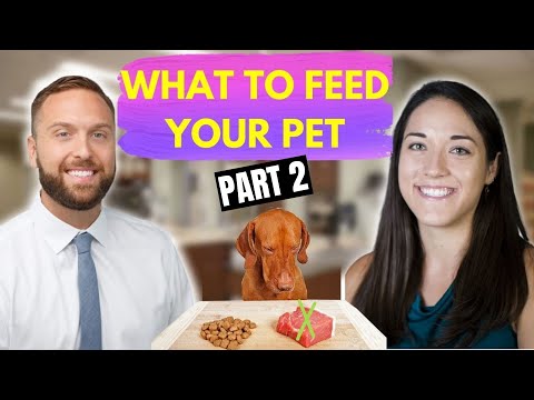 What To Feed Your Pet, According To A Vet Nutritionist - Part 2