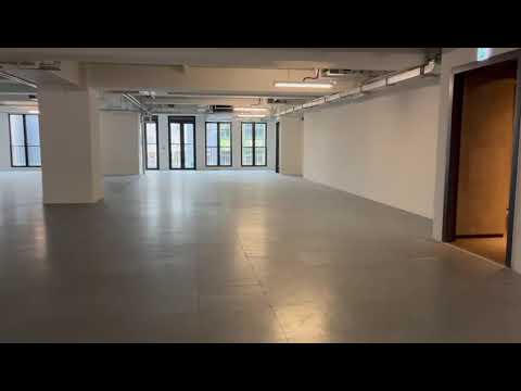 The Whitney Youtube Video