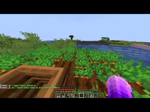 INSANE! Automatic Carrot Farm in Minecraft SMP