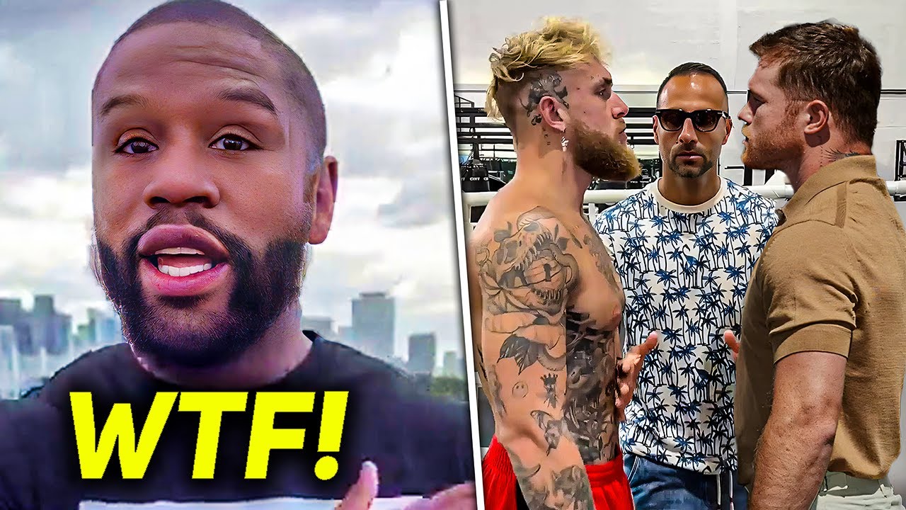 Boxing World REACTS To Jake Paul VS Canelo Alvarez CONFIRMED!