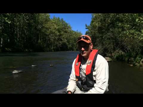Jackson River Tailwaters Raft Electrofishing
