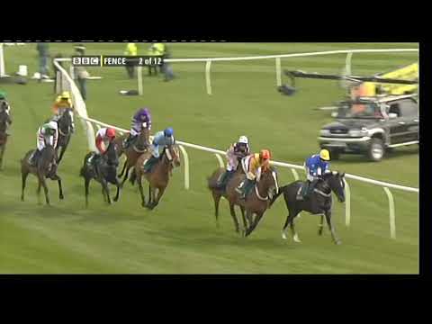 2010 Maghull Novice Chase - Aintree meeting