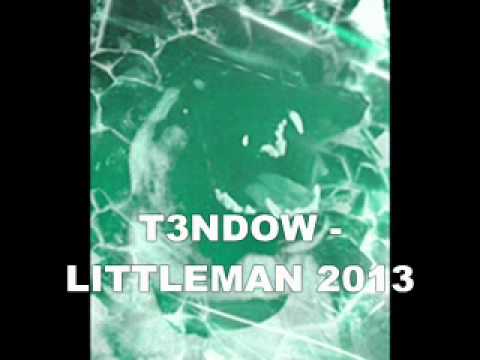 T3NDOW - LITTLEMAN 2013