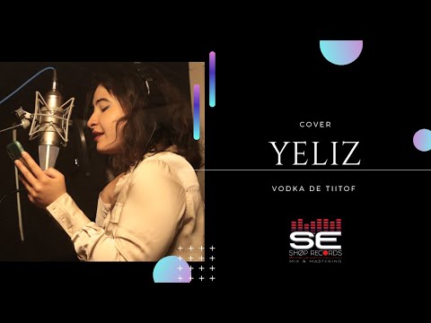 Tiitof x DJ Erise - Vodka ( COVER YELIZ )