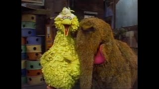 Classic Sesame Street - &quot;Best Friends&quot;