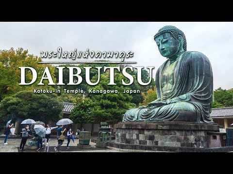 Kamakura Daibutsu : พระใหญ่แห่งเมืองคามาคุระ
