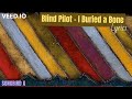 Blind Pilot - I Buried a Bone (Lyrics)