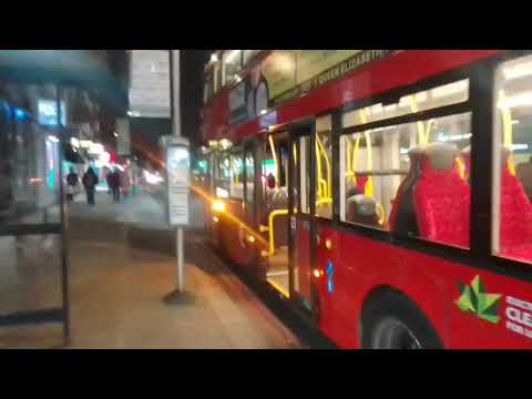 Dead Ibus | TUK 3056 On Bus Route 133 (Spot)