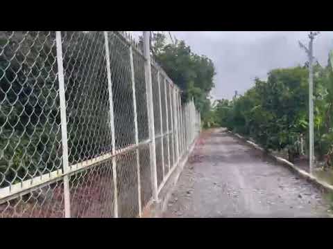 Bán đất nhà vườn 3800m tc 380m tại tp td1,đã có nhiều loại cây ăn trái,giá rẽ