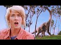 Bienvenidos A Jurassic Park Jurassic Park Prime Video España