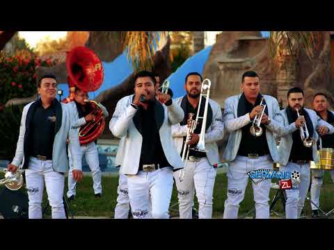 Banda Renovacion - El Son De La Rabia "Instrumental" (En Vivo 2018)