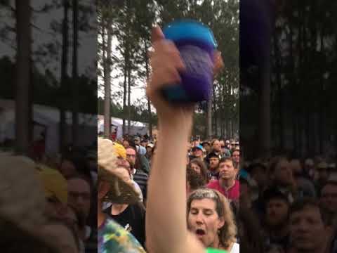 Billy Strings at Blue Ox 2019