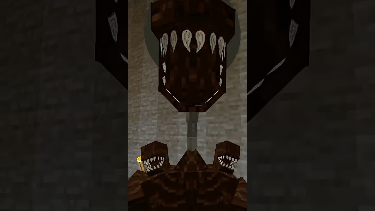 村民洗頭？ #minecraft #yuan醬 #memes #minecraftmemes