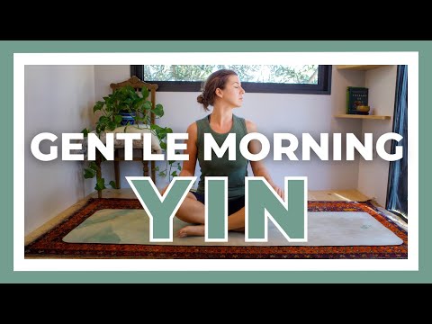 26-Min Gentle Morning Yoga | Easy, Slow & Calming Yin Yoga Morning Stretch