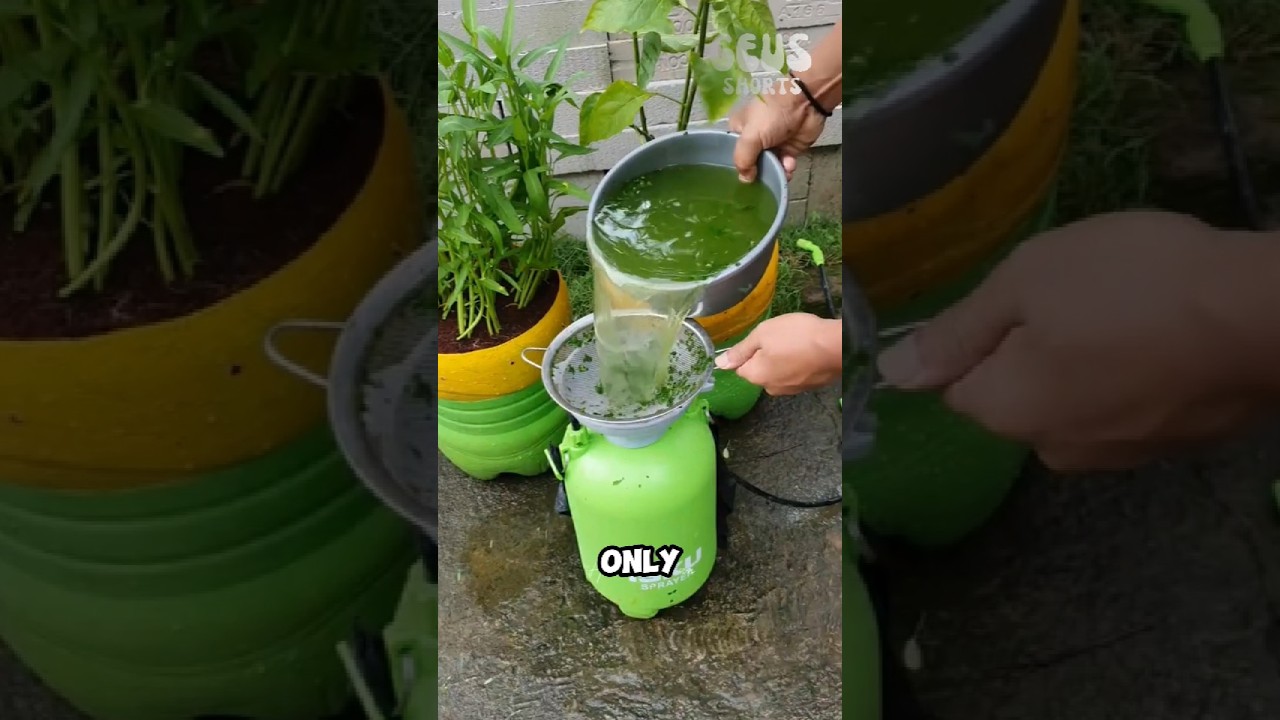 How to Turn Papaya Leaves into a Powerful Organic Pesticide! 🤯