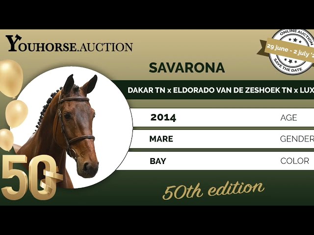 Savarona on the hard circle