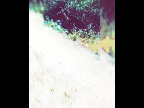 Yamaha rx135 offroading #mountains  Via:- Mahgarz