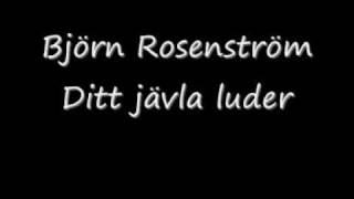 Björn rosenström-Ditt jävla luder