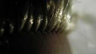 Verdena - Isacco Nucleare