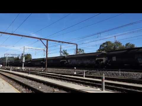 Triple 81's lead Canola train - 26/5/14