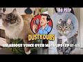 Dusty Dubs Hilarious Animal Voiceover Mashups Ep 51 63