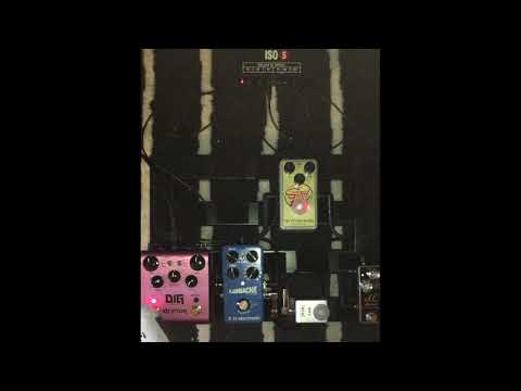 Strymon DIG VS TC Electronic Flashback II