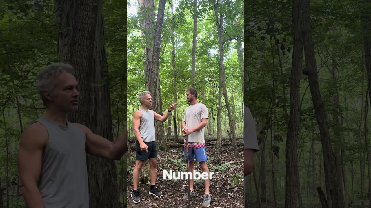 “This Ancient Healing Practice Cuts Stress, Inflammation, and Boosts Immunity – No Pills Required”