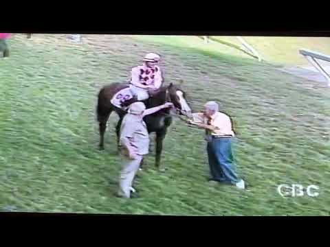 Alaska Pete-Jonathan Jones United Insurance Derby 2000🥇