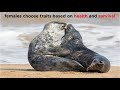 Mechanisms Of Natural Selection Part 1 Types Of Sexual Selection