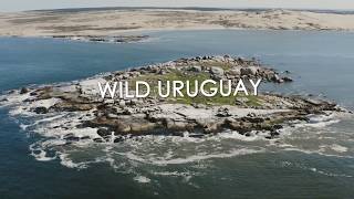 Wild Uruguay - Trailer