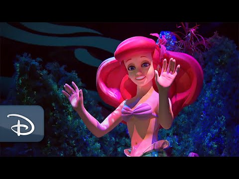 Dive Below the Surface and Be Part of Ariel’s World!