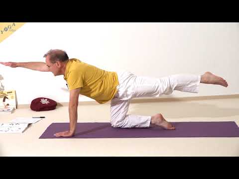 Gerade diagonale Katze mit ausgestreckten Füßen und Händen - Marjaryasana - Yoga Asana Lexikon