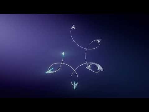 Modul 35 Animation, Nik Bärtsch‘s RONIN