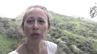 How to increase your energy