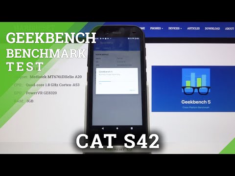 CAT S42 - CPU Performance Test by Geekbench 5