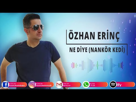 Özhan Erinç - Ne Diye (Nankör Kedi)
