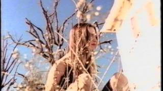 Steve Forbert - It Sure Was Better Back Then