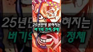 25년 만에 밝혀진 버기의 진짜 정체