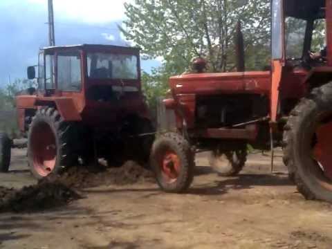 nebuni din dobridor.3gp