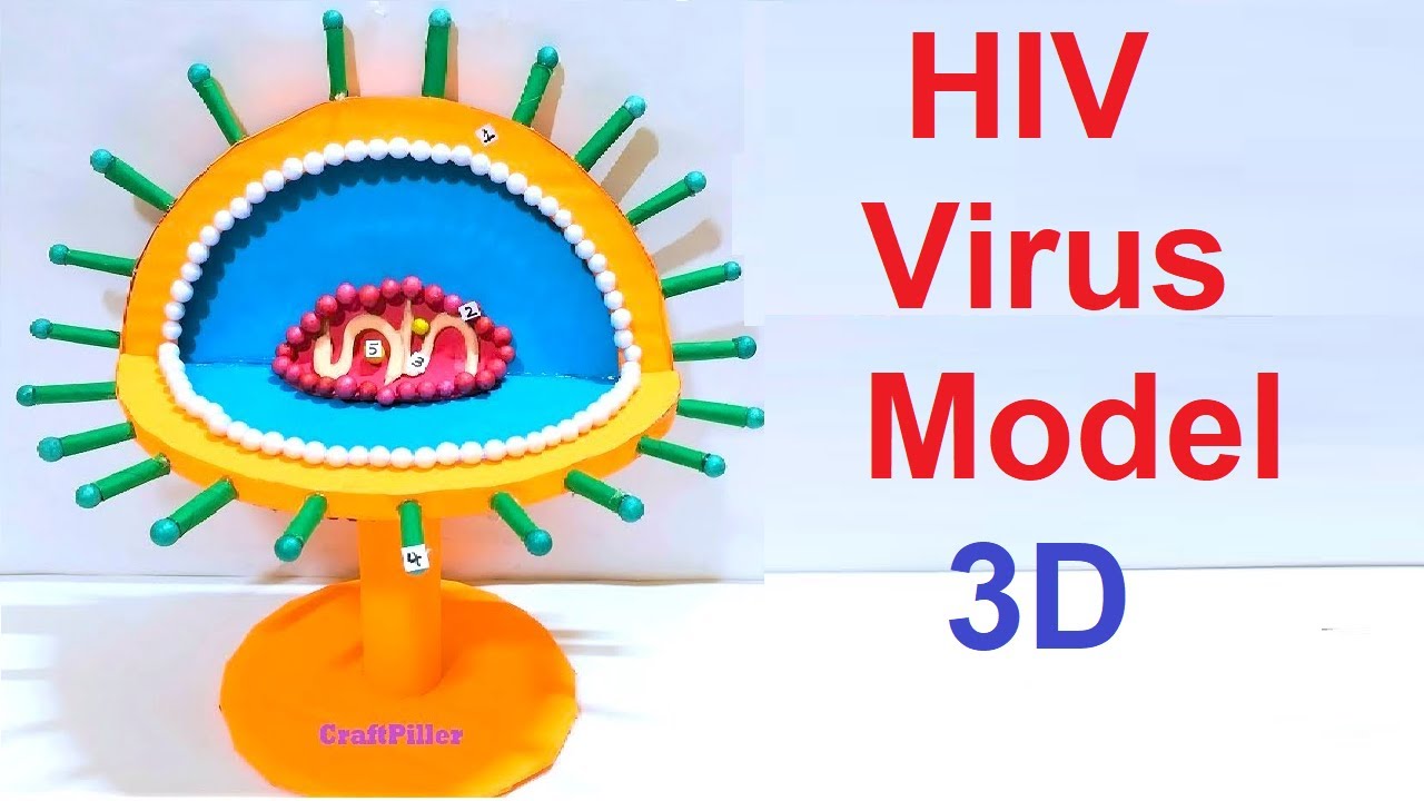 hiv virus model (3D) for science project exhibition | diy at home | craftpiller  | still model