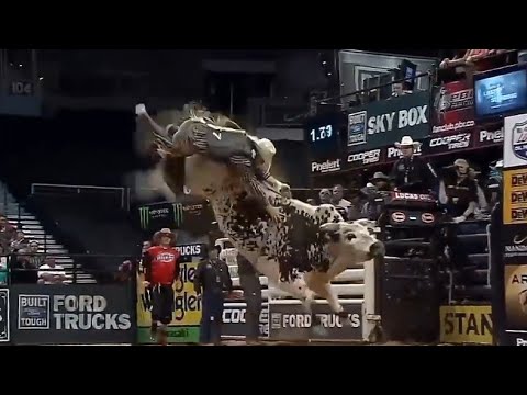 Jaripeo, Rodeo, Toros, México, Jinetes, Deporte, Extremo, Charreria,cow,bull, red bull 🐂
