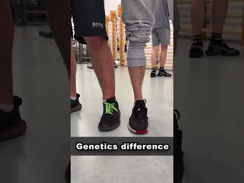 Ectomorph VS Mesomorph Genetics