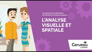 L'analyse visuelle et spatiale - Cerveau animé - Membres de l'entourage