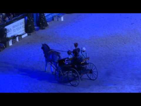 Hessischer Haflinger Zucht- und Sportverein Altenstadt e.V.