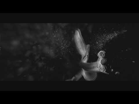 Kemal Vatansever - Fragrance (Disscut Remix)