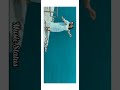 Naan Pogiren Mele Mele Song From Naanayam Movie